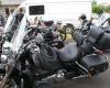 DSC02222.JPG